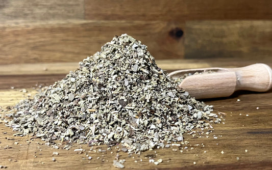 Salvia